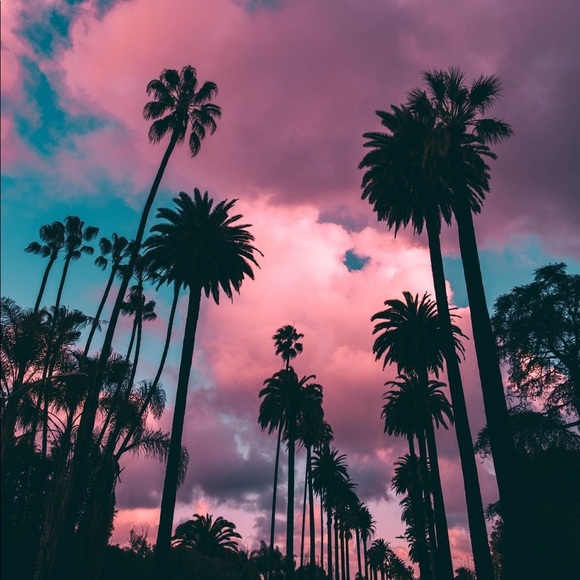 stephscloset182
